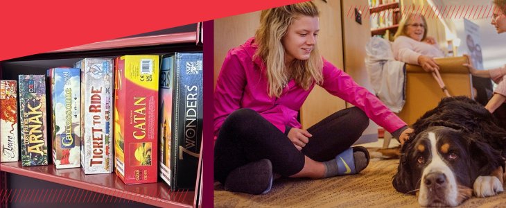 A cozy library scene features a young woman petting a large dog while others chat nearby. On the left, a shelf displays colorful board games like Catan, Ticket to Ride, and 7 Wonders, emphasizing a welcoming, playful atmosphere.