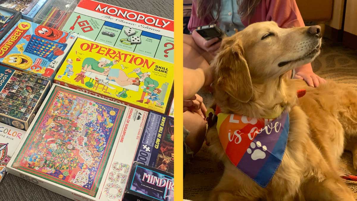 A group of board games including Monopoly, Operation and Connect 4 is pictured next to Stella the golden retriever therapy dog.