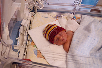 Preterm baby in an incubator wearing a maroon and gold knit hat.