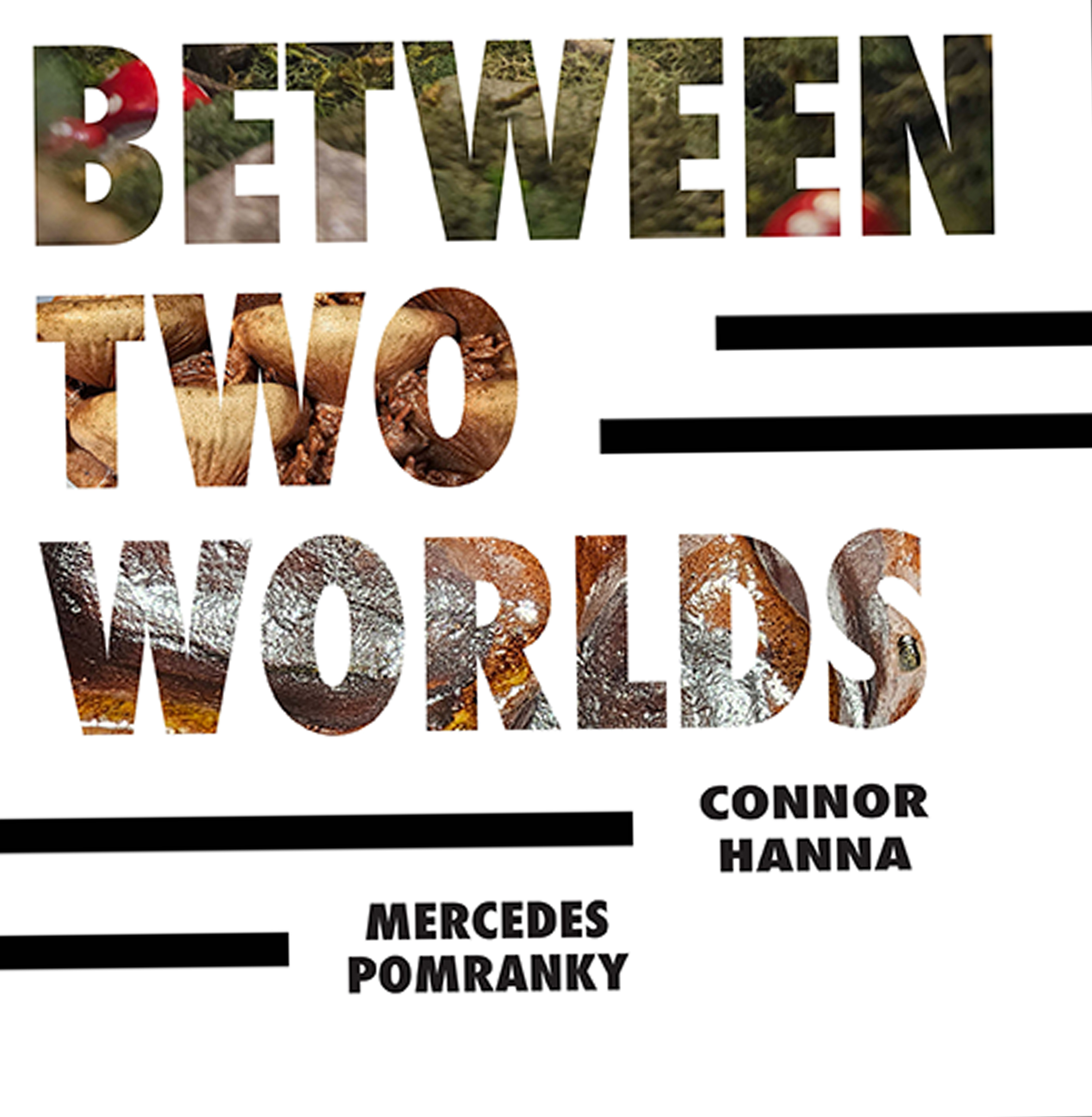 Between Two Worlds BAA BFA 2024 Fall Exhibition Poster Mercedes Pomranky Connor Hanna