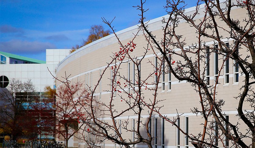 Brown branches with red berries on them in front of the School of Music.