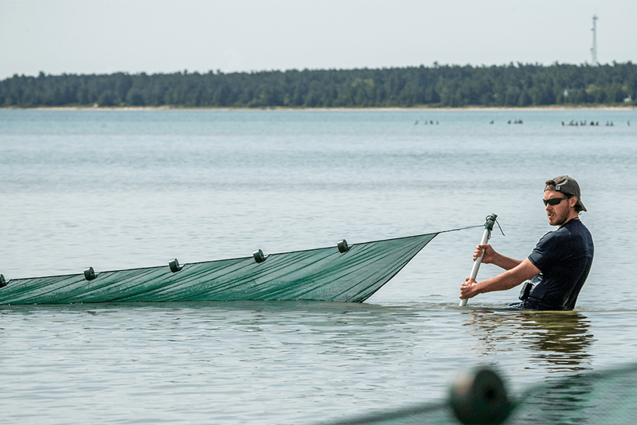 An environmental studies major stands waist-deep in water and holds a sampling net while gathering animal samples in one of Michigan's Great Lakes.