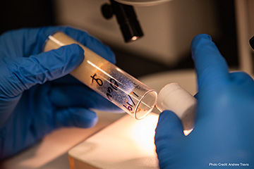 A person holding a labeled test tube with a material in it.