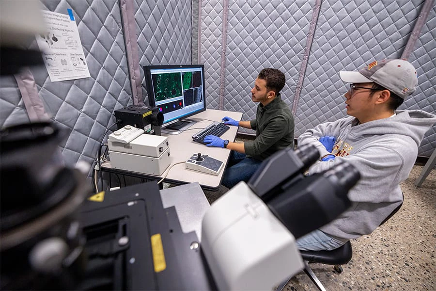 Two biological analytics students work in an on-campus lab at Central Michigan University.