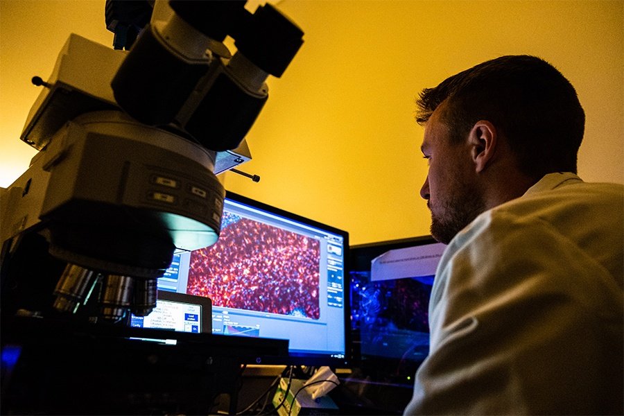 Male researcher reviews microscope display on a computer.