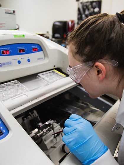 A neuroscience student works in one of the on-campus research labs at Central Michigan University.