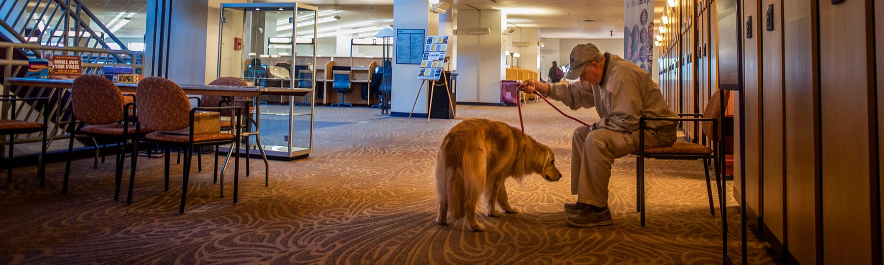 A golden retriever and a man in a baseball cap sit together at Central Michigan University.