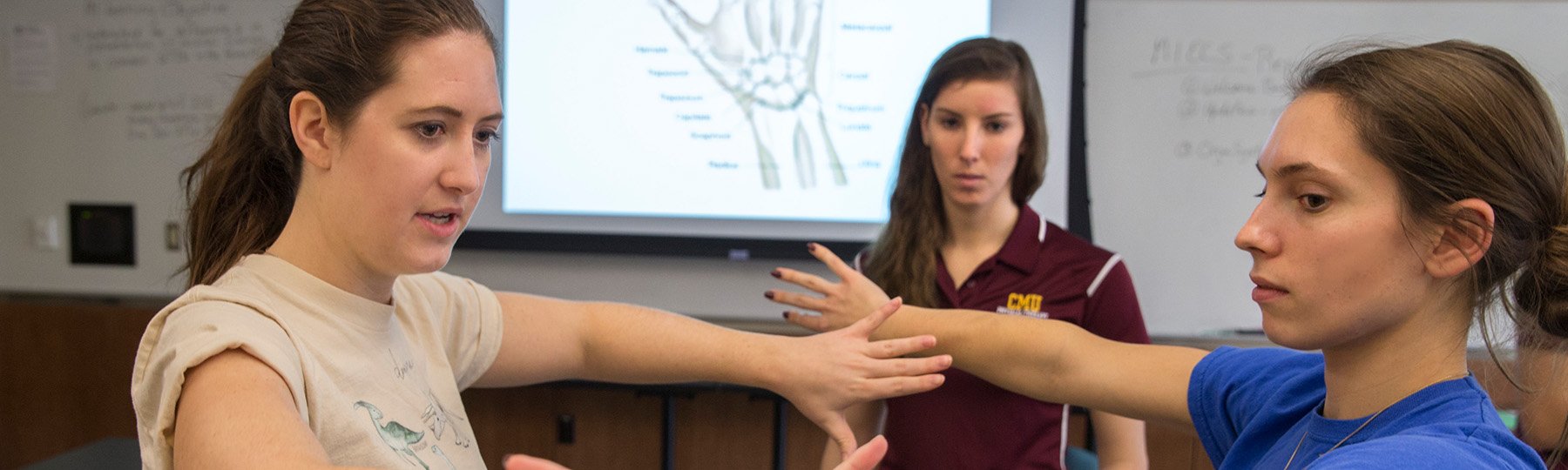 physical therapy students using techniques