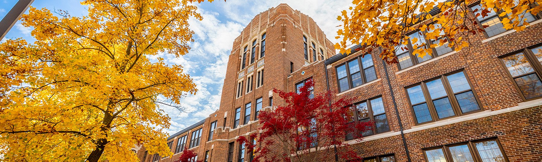 Low-angle view looking up at Warriner Hall during peak fall color.