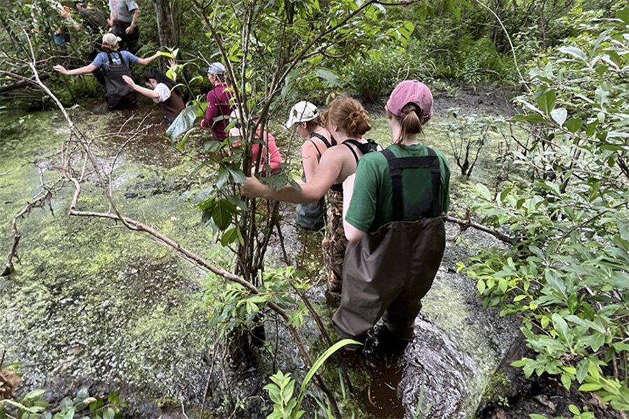 Kristen Brennan, wearing a pink hat, green shirt, and waterproof overalls, walks through a bog with other students in a creative writing class.