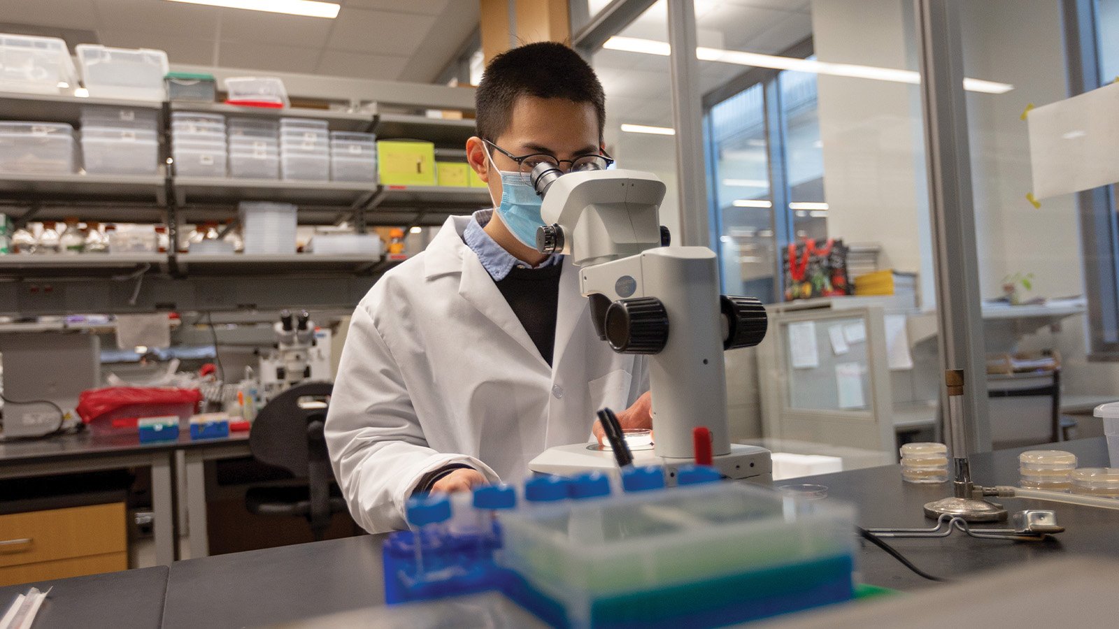 Student working in a research lab looking into a white microscope. 