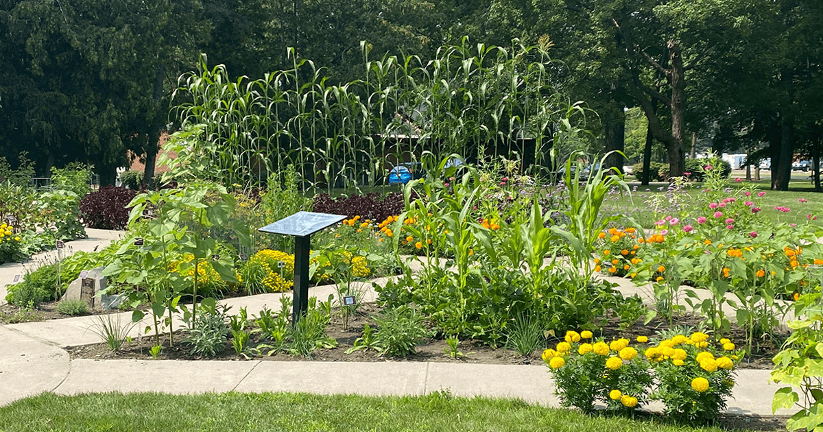 Yoga at Allen Centennial Gardens – Plant and Agroecosystem Sciences