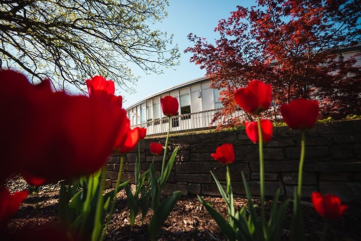 Flowers are in bloom near the Bovee University Center.