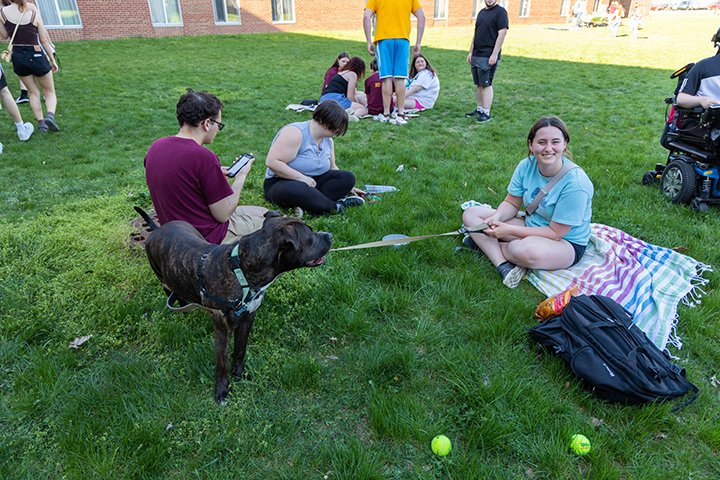 A group of students sit in the grass petting dogs.