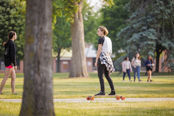 A student rides a longboard down a sidewalk on a sunny day as a tree stands tall in the foreground.
