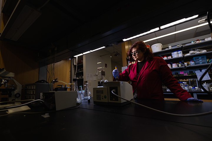 A neurology student works in a lab inside the Biosciences Building.