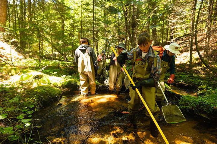 Students hold large nets while standing in a stream on Beaver Island.