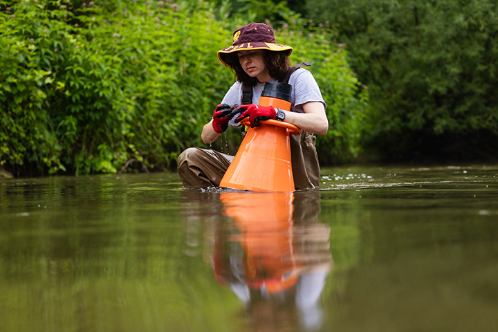 A young woman crouches down in a river searching for mussels while holding a large orange container.