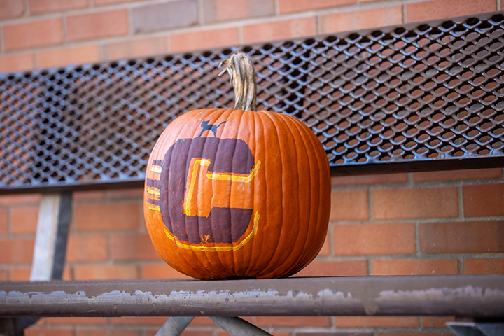 A pumpkin painted with the CMU Action C logo on it sits on a bench.