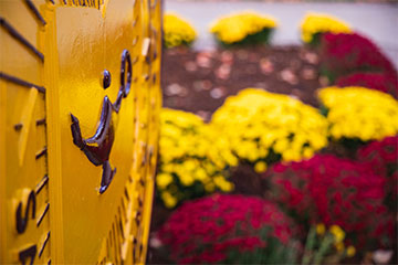 An angled view of the gold CMU seal surrounded by maroon and yellow flowers.