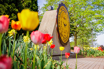 Pink and yellow tulips surround the Central Michigan University seal outside on a summer day.