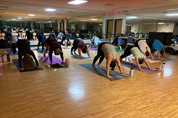 A group of students do yoga in a yoga studio.