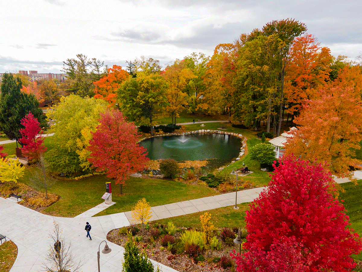 Birds eye view of a fall day in Michigan on Central Michigan University's campus. The trees are red, green, orange and yellow, and the pond's fountain is visible next to the gazebo on campus. A student is seen walking on the sidewalk.