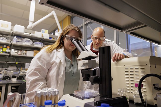 Veronica McCreary and Dr. Stephen Juris research Examining Where Actin Binds to the Action-Crosslinking Domain.