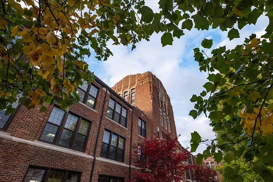 A view of Warriner Hall through tree leaves.