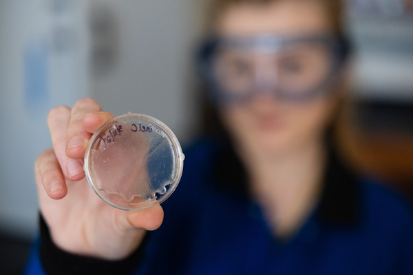 CMU McNair student with protective glasses holding a petri dish.